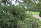 Epsom QLDresidential-landscaping-35.jpg; ?>