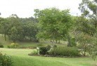 Epsom QLDresidential-landscaping-40.jpg; ?>